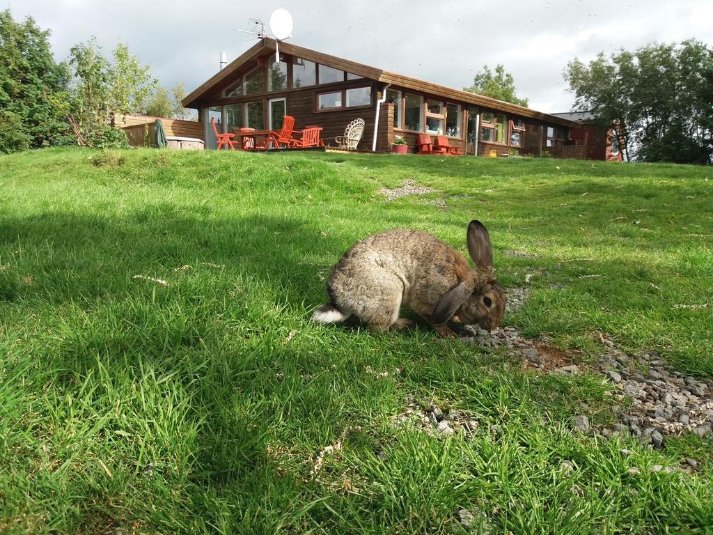 Hostel Geysir Hestar Haukadalur Exterior foto